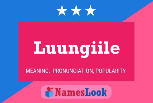 Luungiile Name Poster