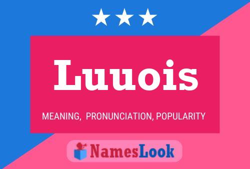 Luuois Name Poster