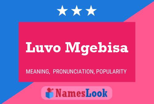 Luvo Mgebisa Name Poster