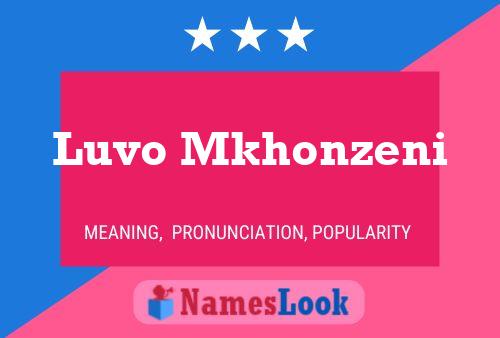 Luvo Mkhonzeni Name Poster