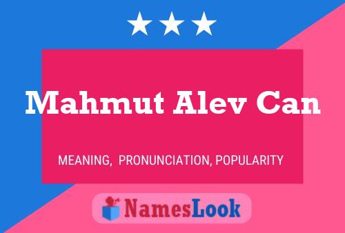 Mahmut Alev Can Name Poster