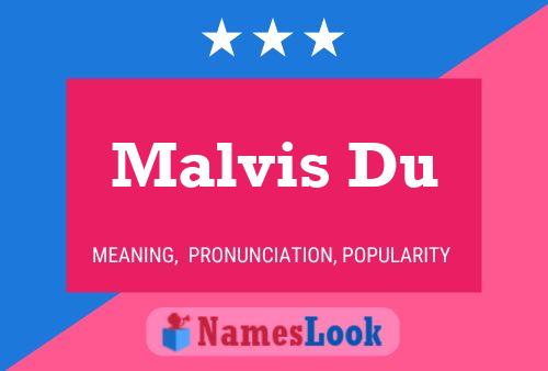 Malvis Du Name Poster