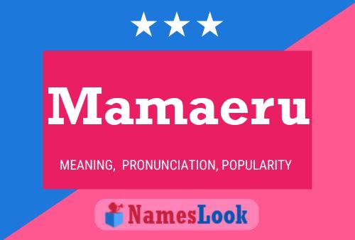 Mamaeru Name Poster