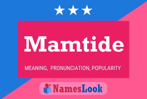 Mamtide Name Poster