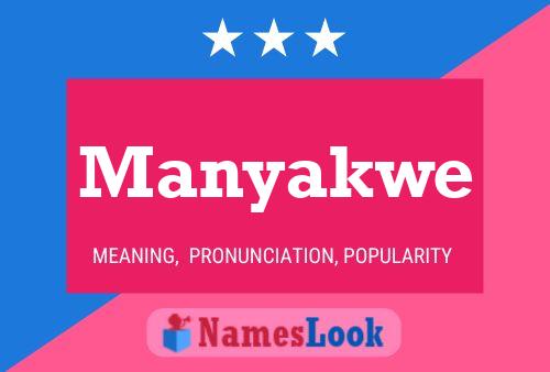 Manyakwe Name Poster