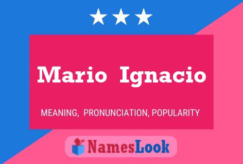 Mario  Ignacio Name Poster