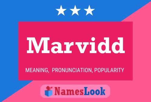 Marvidd Name Poster