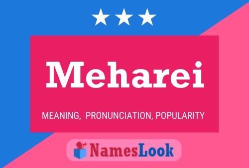 Meharei Name Poster