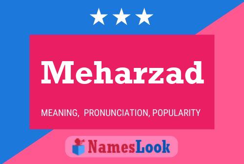 Meharzad Name Poster