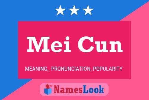 Mei Cun Name Poster