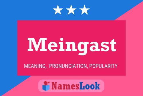 Meingast Name Poster