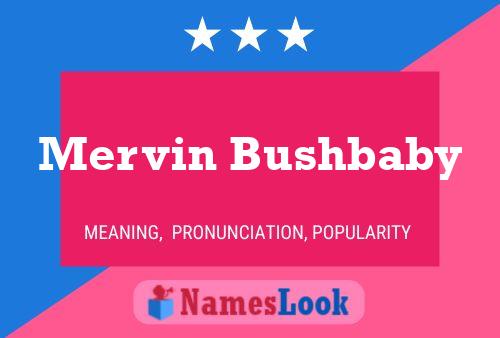 Mervin Bushbaby Name Poster