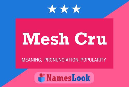 Mesh Cru Name Poster