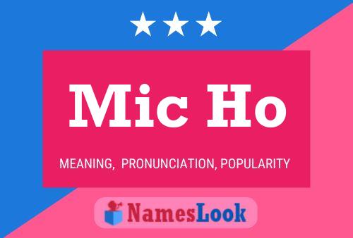 Mic Ho Name Poster