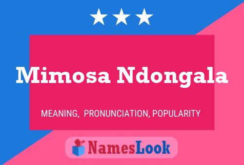 Mimosa Ndongala Name Poster