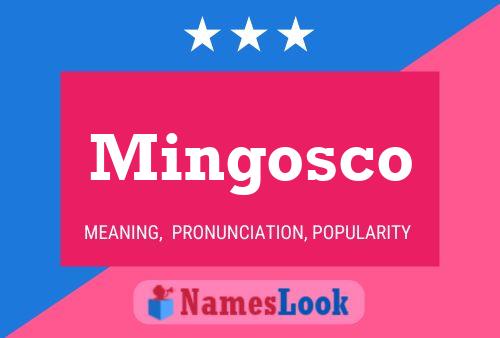 Mingosco Name Poster