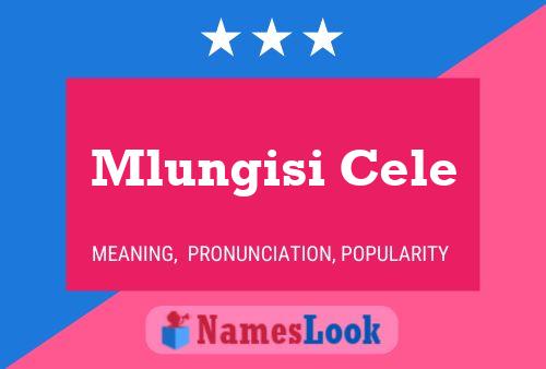 Mlungisi Cele Name Poster