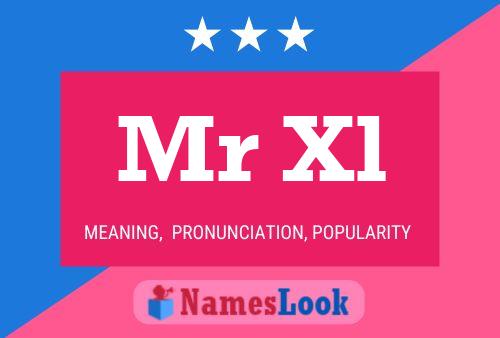 Mr Xl Name Poster