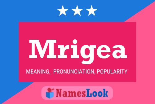 Mrigea Name Poster