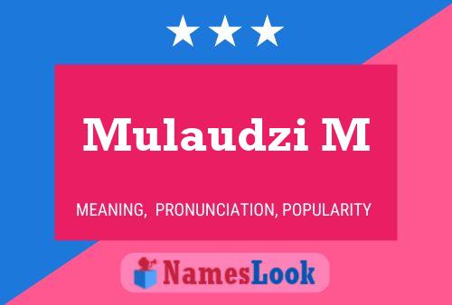 Mulaudzi M Name Poster