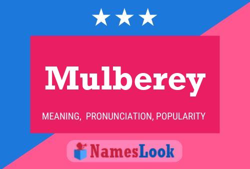 Mulberey Name Poster