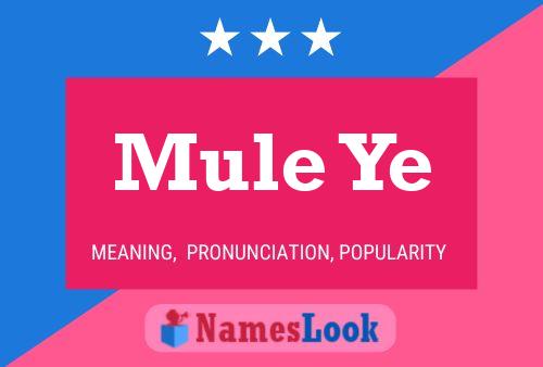 Mule Ye Name Poster