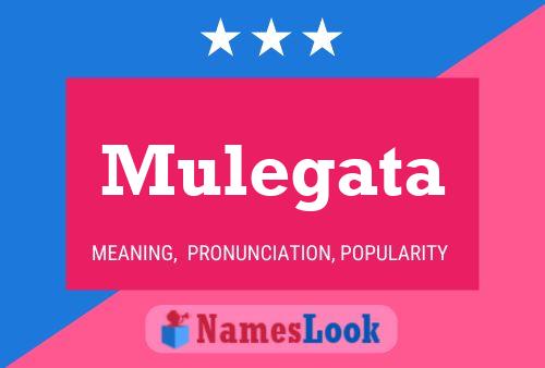 Mulegata Name Poster