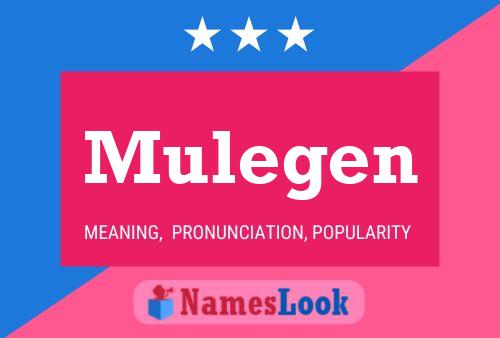 Mulegen Name Poster