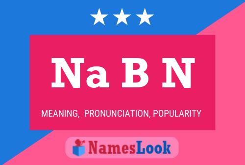 Na B N Name Poster