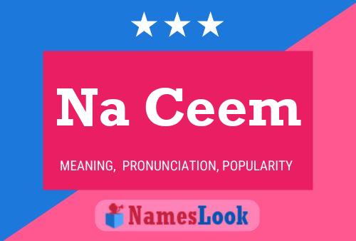 Na Ceem Name Poster