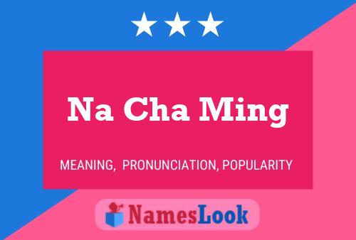 Na Cha Ming Name Poster