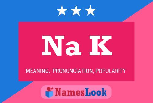 Na K Name Poster