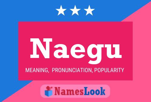 Naegu Name Poster