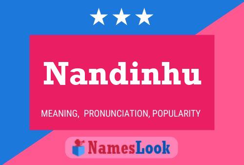 Nandinhu Name Poster