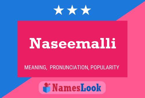 Naseemalli Name Poster