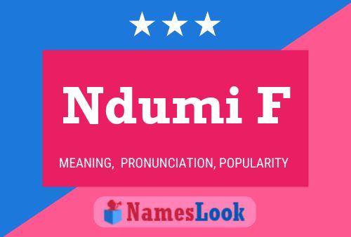 Ndumi F Name Poster