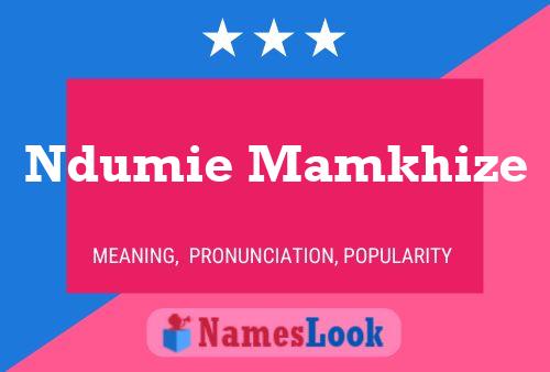 Ndumie Mamkhize Name Poster