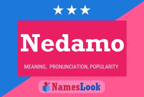 Nedamo Name Poster