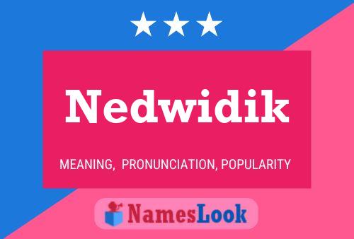 Nedwidik Name Poster