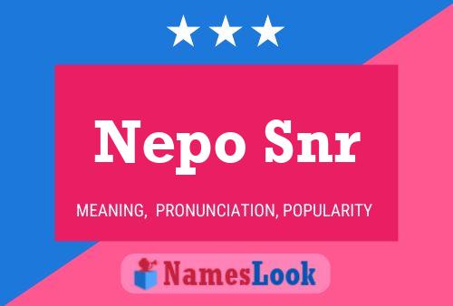 Nepo Snr Name Poster