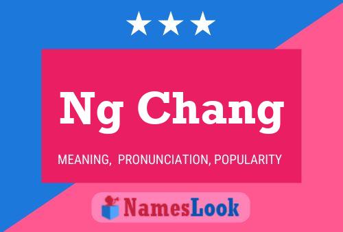 Ng Chang Name Poster