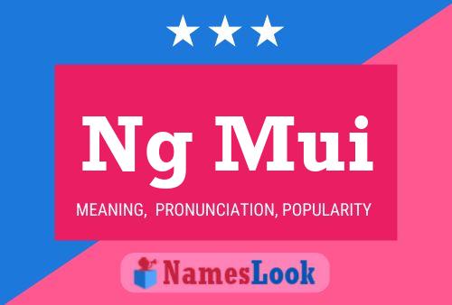 Ng Mui Name Poster