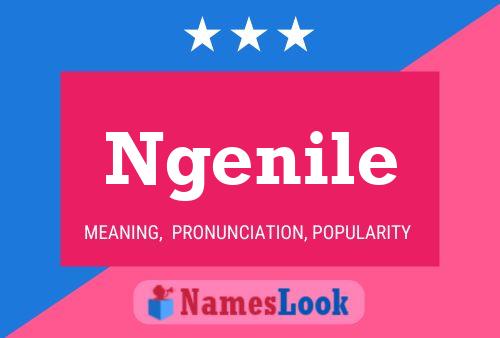 Ngenile Name Poster