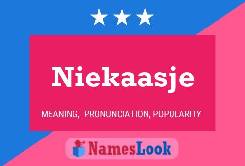 Niekaasje Name Poster