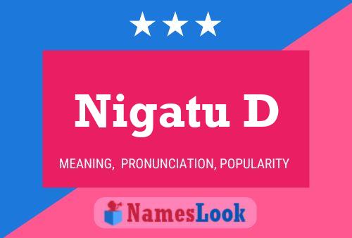 Nigatu D Name Poster