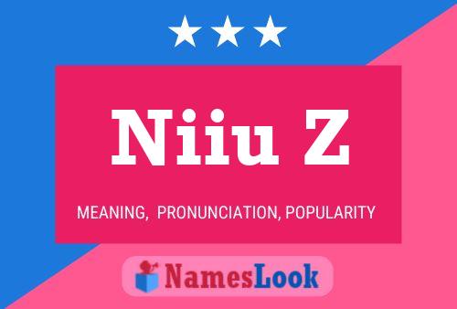 Niiu Z Name Poster