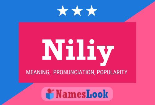 Niliy Name Poster