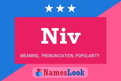 Niv Name Poster