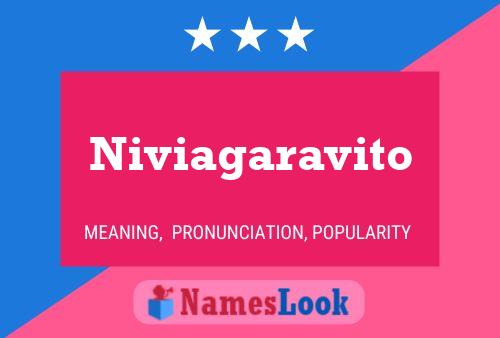 Niviagaravito Name Poster