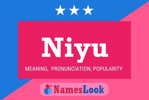 Niyu Name Poster